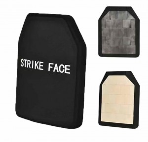 Ballistic Plate